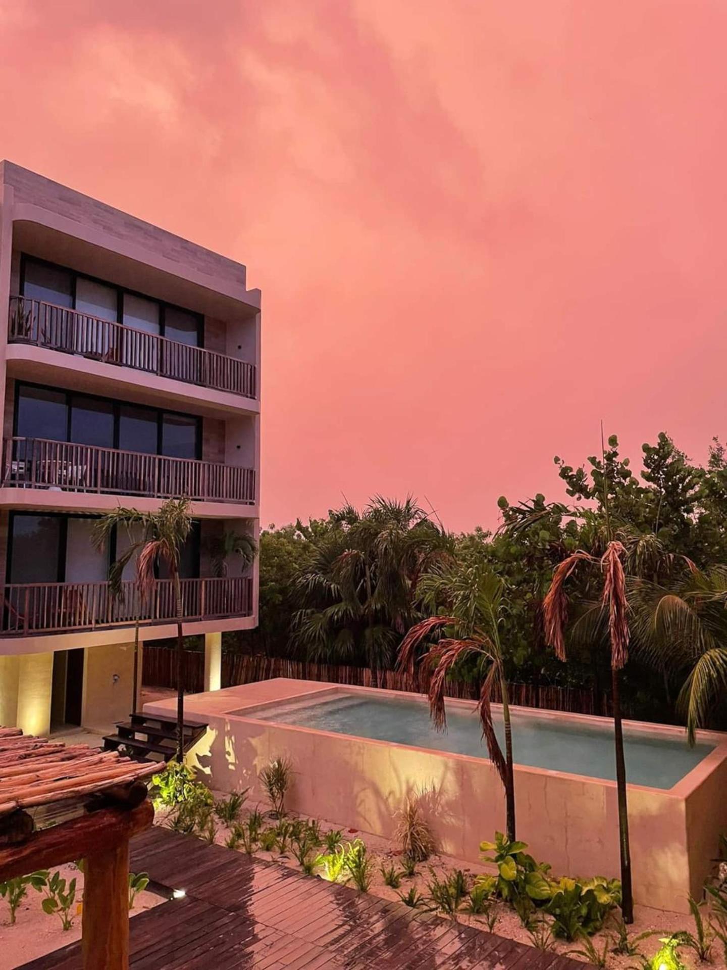 Ocean View Loft In Punta Cocos - C102 Hotel Isla Holbox ภายนอก รูปภาพ