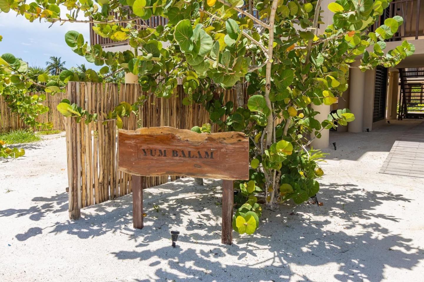 Ocean View Loft In Punta Cocos - C102 Hotel Isla Holbox ภายนอก รูปภาพ