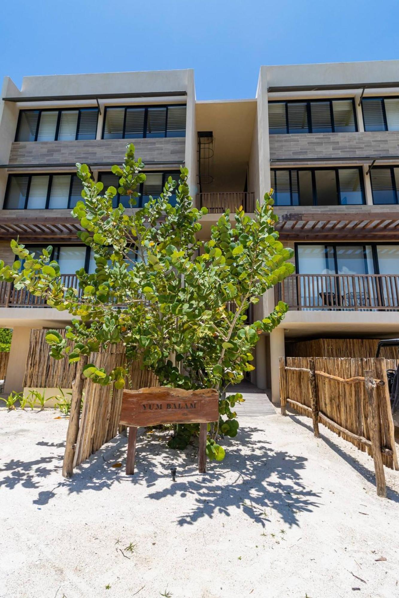 Ocean View Loft In Punta Cocos - C102 Hotel Isla Holbox ภายนอก รูปภาพ